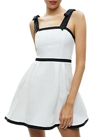 Eloisa Tie-Shoulder Minidress