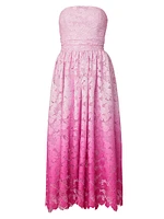 Tulip Ombré Floral Lace Midi-Dress