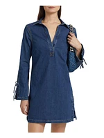 Aster Denim Minidress