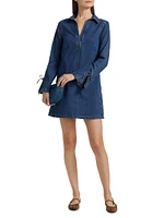 Aster Denim Minidress