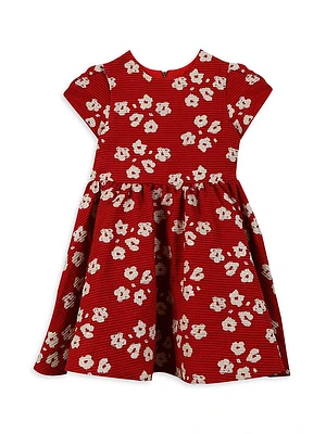 Little Girl's & Floral Embroidered A-Line Dress