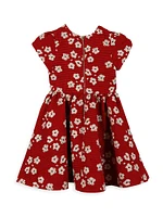 Little Girl's & Floral Embroidered A-Line Dress