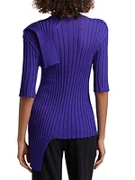 What Has Always Been Sparkling Wool Rib Top