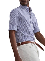 Striped Basic Fit Shirt with Button Down Collar