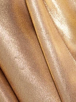 Solar Gaze Metallic Tie-Neck Gown