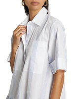 Cris Paneled Swing Shirtdress