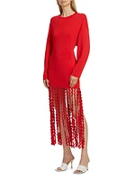 Wallis Knit Fringe Dress