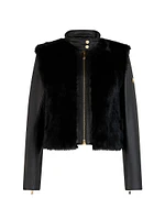 Luna Leather & Shearling Jacket