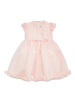 Baby Girl's Taffeta Tulle & Lace Dress
