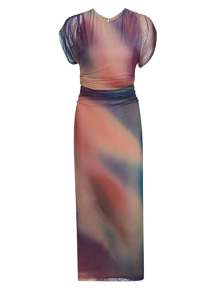 Celestia Printed Mesh Maxi Dress