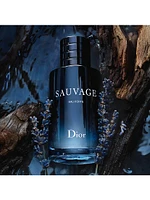 Dior Sauvage Eau Forte Parfum