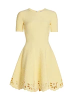 Jacquard Eyelet Fit-&Flare Dress