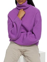 Leona Felted Wool-Knit Turtleneck Sweater