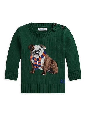 Baby Boy's Bulldog Intarsia Sweater