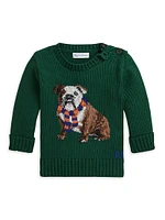 Baby Boy's Bulldog Intarsia Sweater