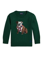 Little Boy's & Bulldog Intarsia Sweater