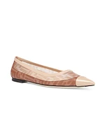 Colibri FF Ballerina Flats