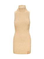 Callum Rib-Knit Turtleneck Minidress