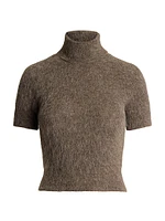 Wool-Blend Turtleneck Short-Sleeve Sweater