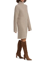 Wool-Cashmere Knit Turtleneck Minidress