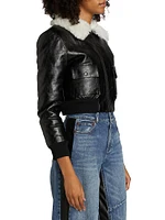 Willard Aviator Jacket