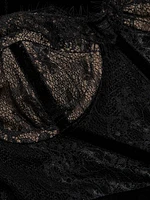 Lace & Velvet Minidress
