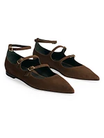 Francine Pointed Flats