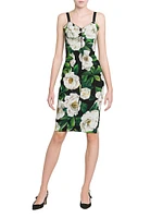 Gardenia Seamed Knee-Length Dress