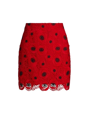 Embroidered Lace Modern Miniskirt
