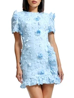 Brittany Floral Appliqué Minidress