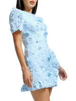 Brittany Floral Appliqué Minidress