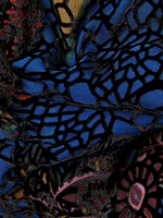 Nash Paisley Midi-Dress