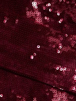 Sylee Sequined Minidress