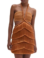 Pampas Metallic Fringe Minidress