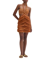 Pampas Metallic Fringe Minidress
