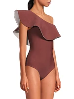 Tucan Reversible One-Piece Swimsuit