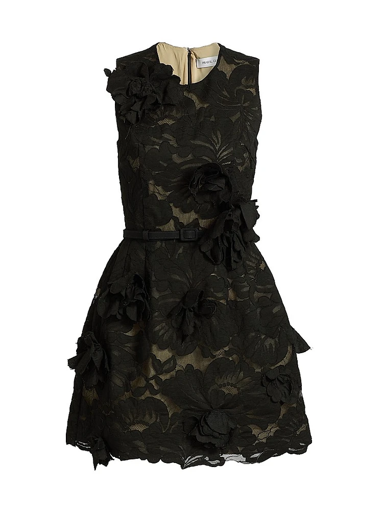 Floral Lace & Appliqué Minidress