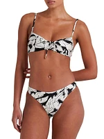 Solstice Crop Bikini Top