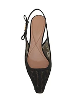 Pizzo Leo Lace 65MM Slingback Pumps