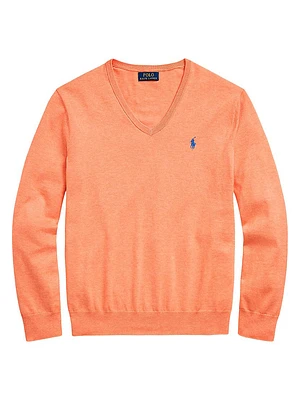 Logo Cotton V-Neck Sweater