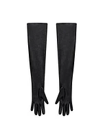 Voyou Long Zipped Gloves in Leather