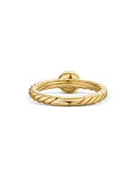 Petite Cable Ring 18K Yellow Gold