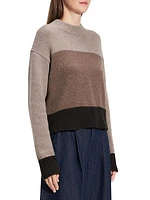 Colorblock Crewneck Sweater