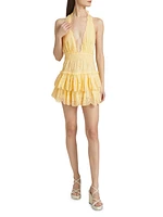 Janea Cotton Fit & Flare Tiered Minidress