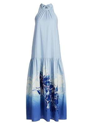 Daelia Sequined Floral Cotton Maxi Dress