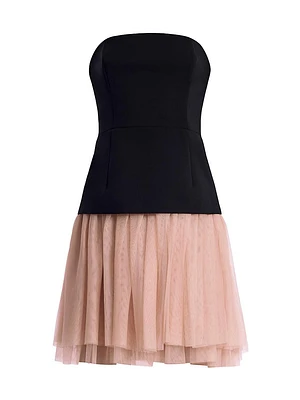 Strapless Tutu Dress