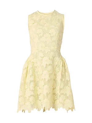 Fleur Lace Sleeveless Minidress