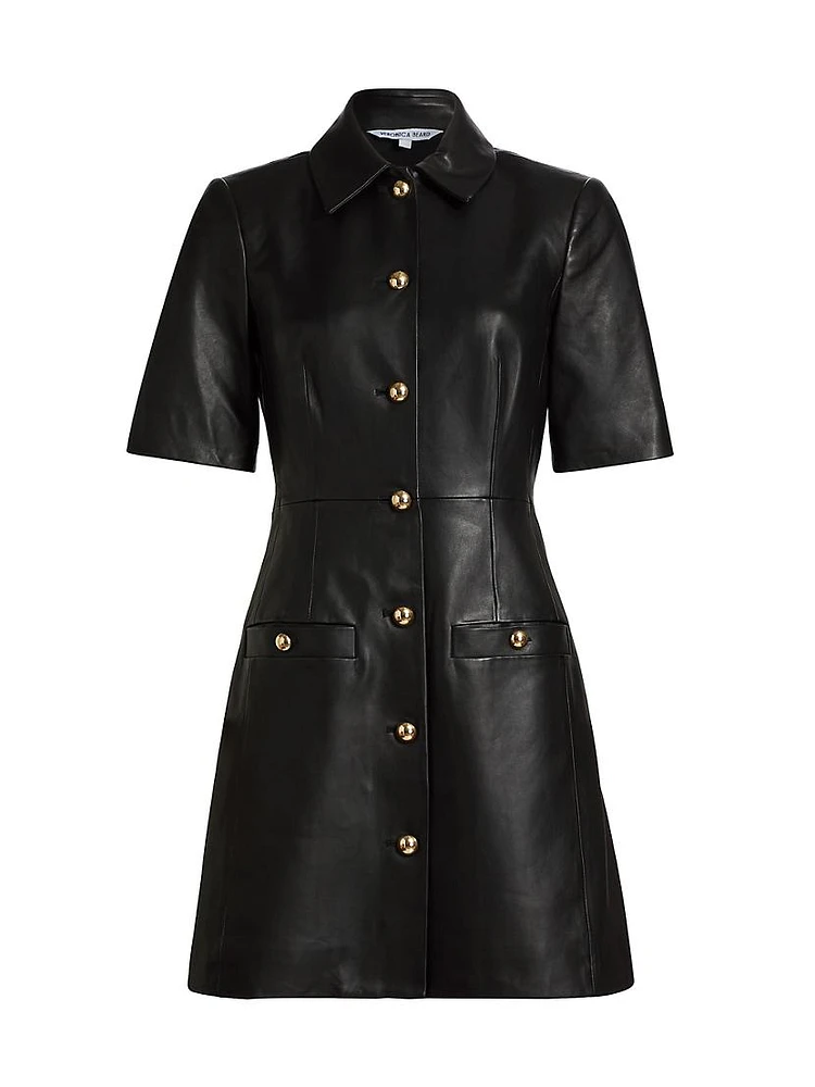 Paige Leather Minidress