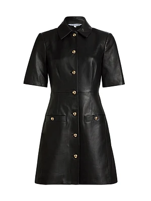 Paige Leather Minidress