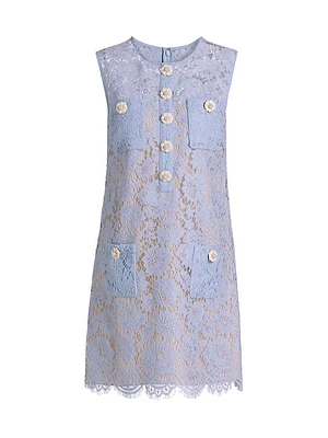 Fine Lace Minidress